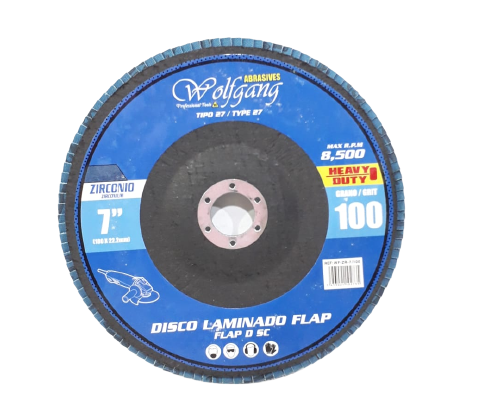 DISCO RASPA P. WF-ZR-7/100